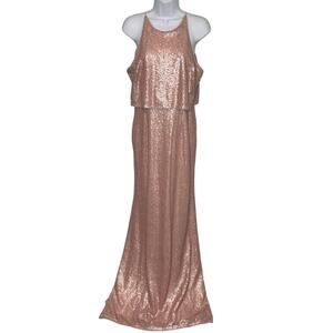 Adrianna Papell Blush Sequin Popover Sleeveless Maxi Gown 6